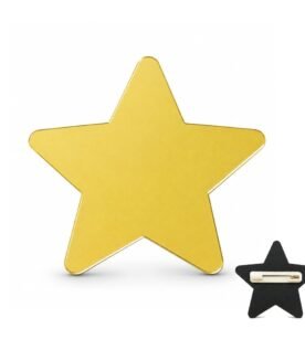 Shinning Star Badge with Pin to hang on fabrics Label Name plate for kids,adults,school,office and corporate (Set of 10 Star)